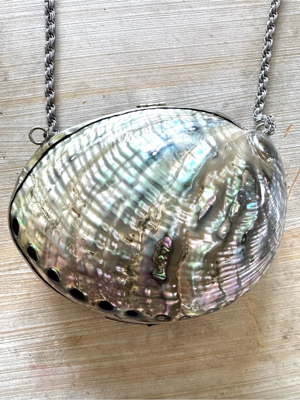 Vintage Iridescent Abalone Shell Crossbody